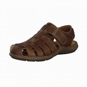 Rieker 22074-26 Sandalen Herren Braun | 231689-WNV