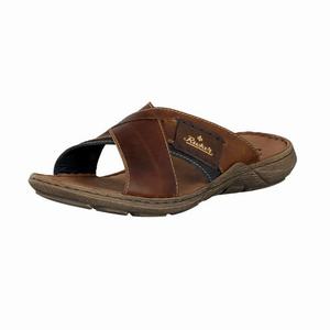 Rieker 22099-25 Mules Herren Braun | 573491-IHW