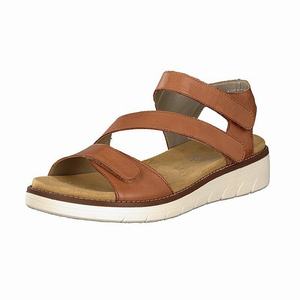 Rieker D2050-24 Sandalen Damen Braun | 461083-SXI