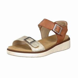 Rieker D2051-24 Sandalen Damen Braun | 197285-AGJ