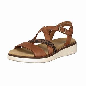 Rieker D2063-24 Sandalen Damen Braun | 231809-PDZ