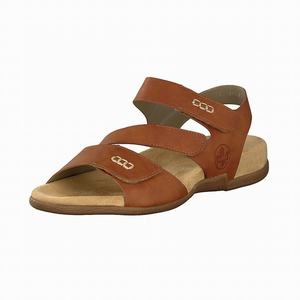 Rieker V0071-24 Sandalen Damen Braun | 795623-JGY