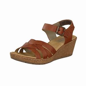 Rieker V1963-22 Wedges Damen Braun | 214765-YWL